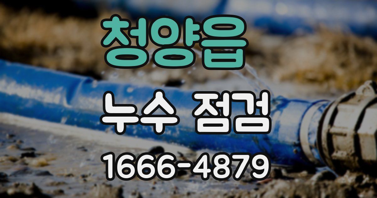 청양읍 누수 점검