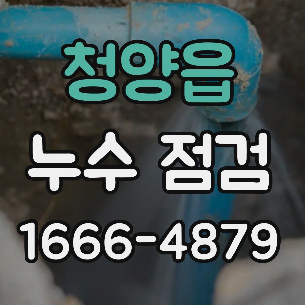 청양읍 누수 점검