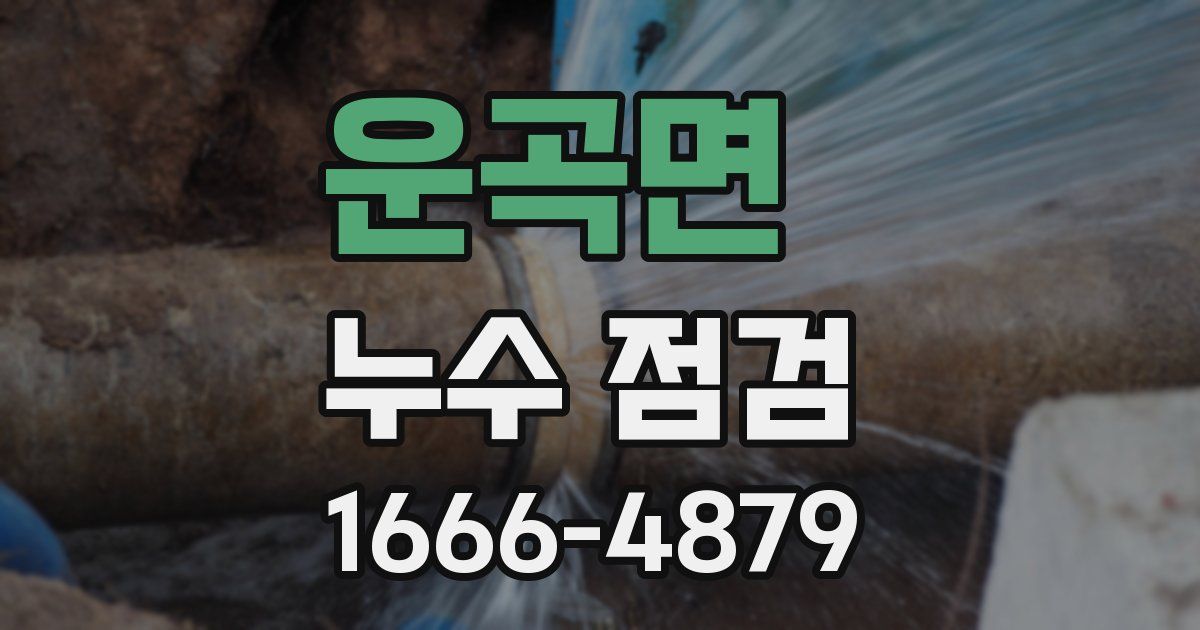 운곡면 누수 점검