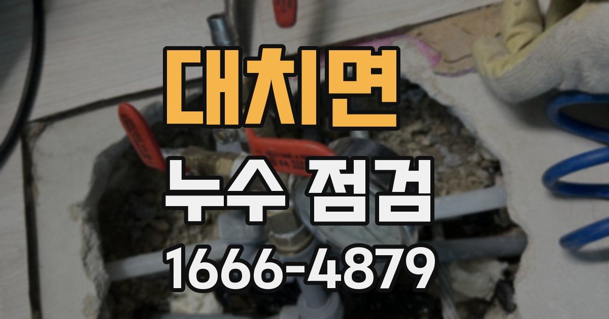 대치면 누수 점검