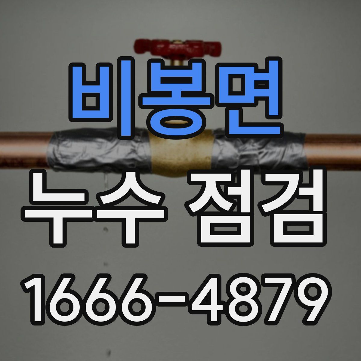 비봉면 누수 점검