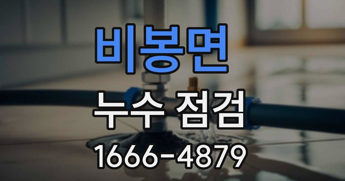 비봉면 누수 점검