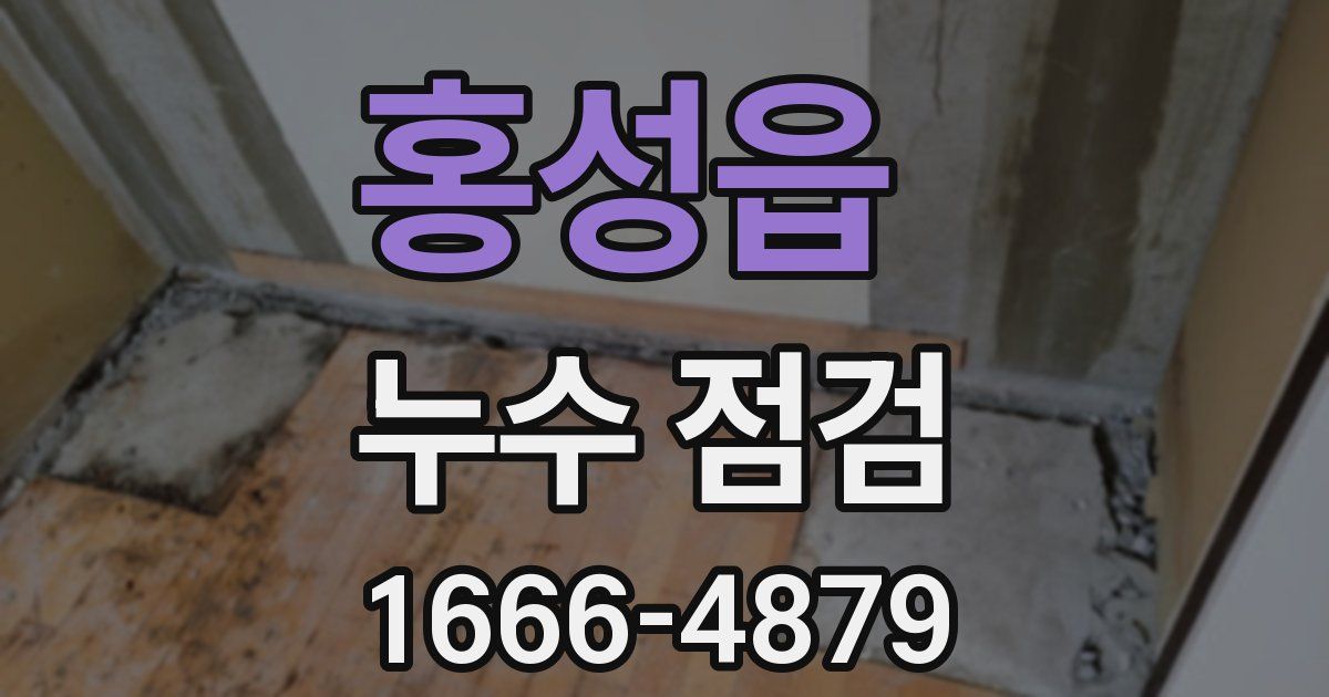 홍성읍 누수 점검