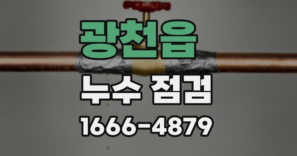 광천읍 누수 점검
