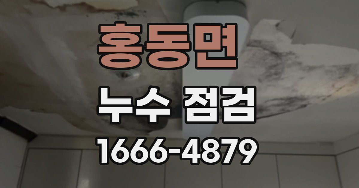 홍동면 누수 점검