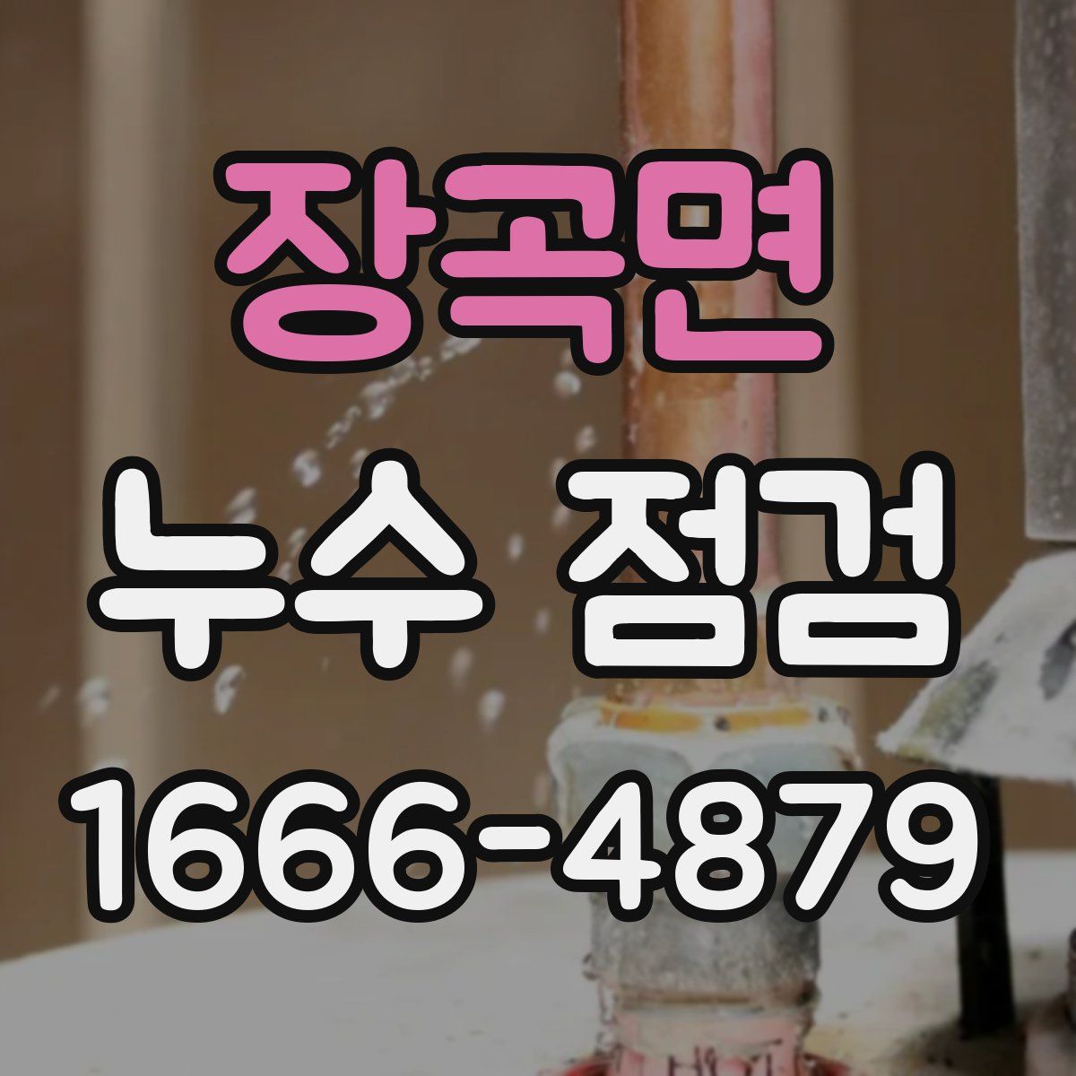 장곡면 누수 점검