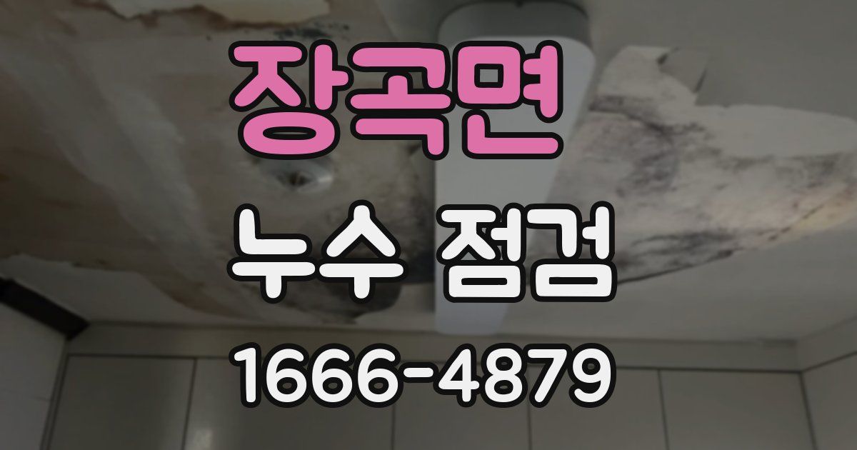 장곡면 누수 점검