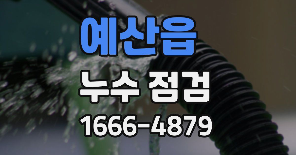 예산읍 누수 점검