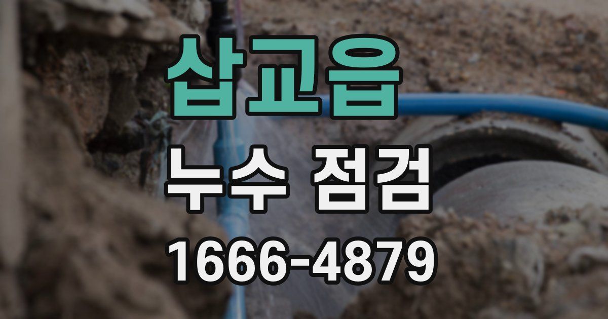 삽교읍 누수 점검