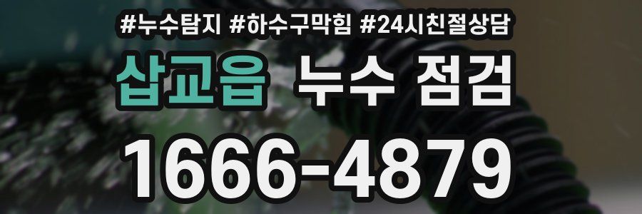 삽교읍 누수 점검