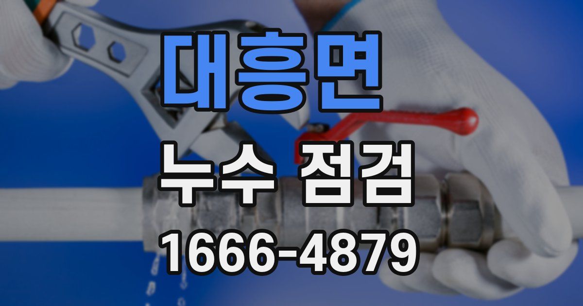 대흥면 누수 점검