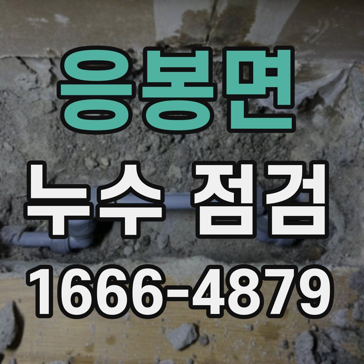응봉면 누수 점검
