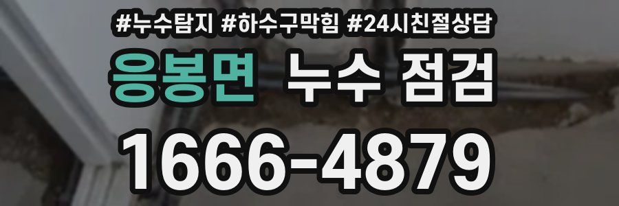 응봉면 누수 점검