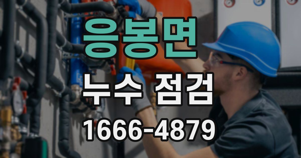응봉면 누수 점검