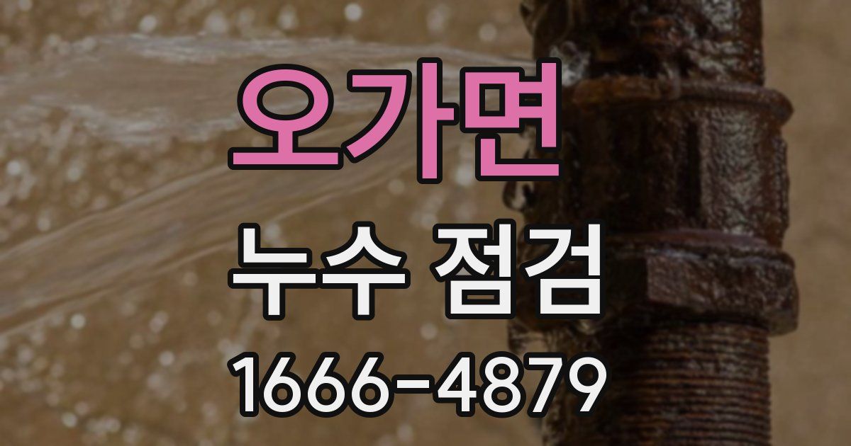 오가면 누수 점검