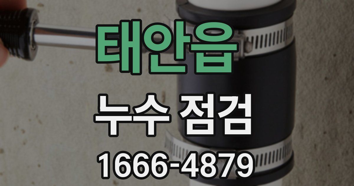 태안읍 누수 점검