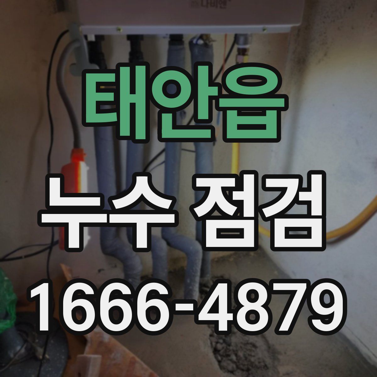 태안읍 누수 점검