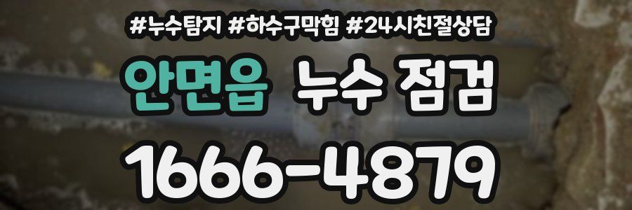 안면읍 누수 점검