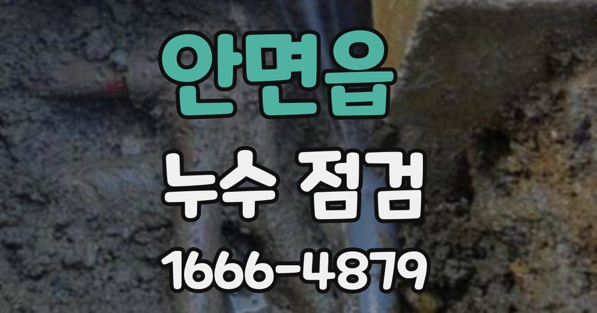 안면읍 누수 점검