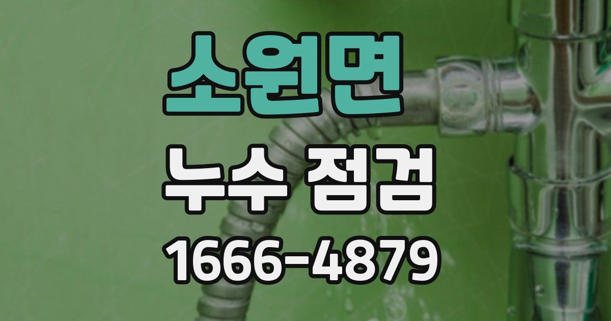 소원면 누수 점검