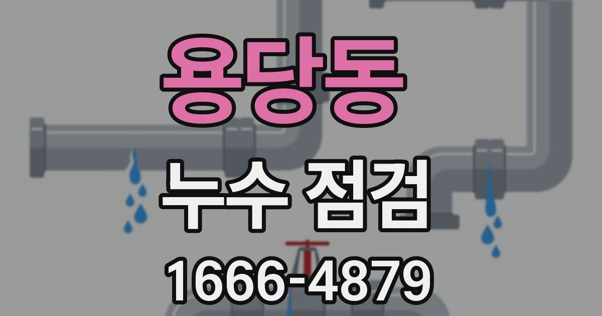 용당동 누수 점검