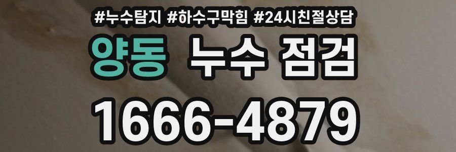 양동 누수 점검
