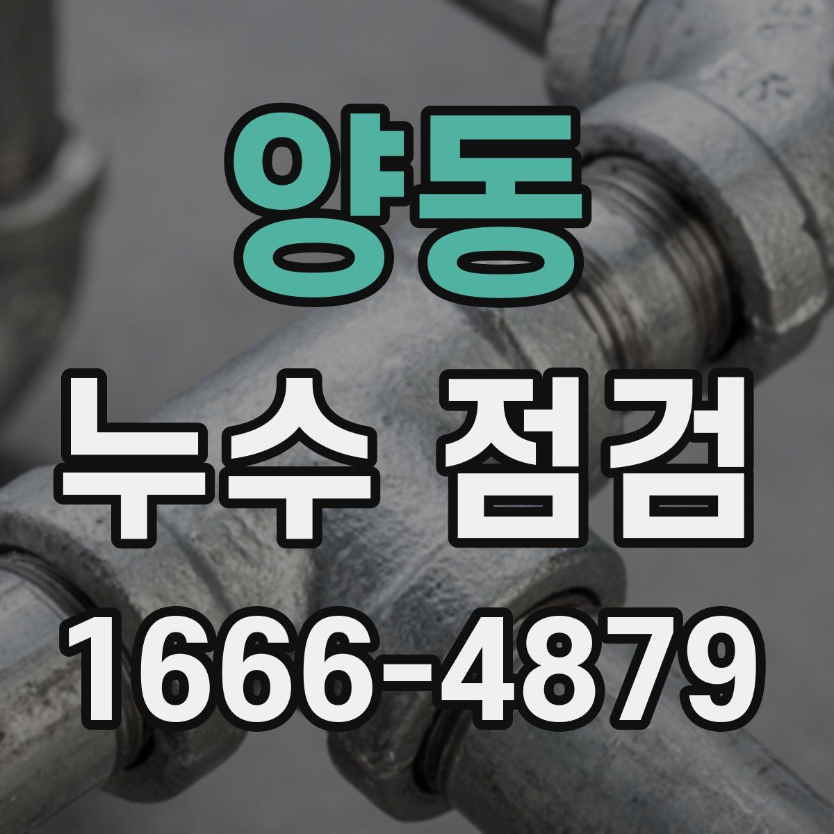 양동 누수 점검