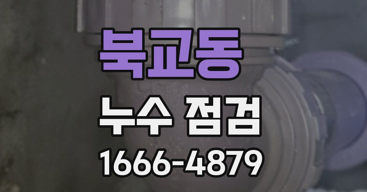 북교동 누수 점검