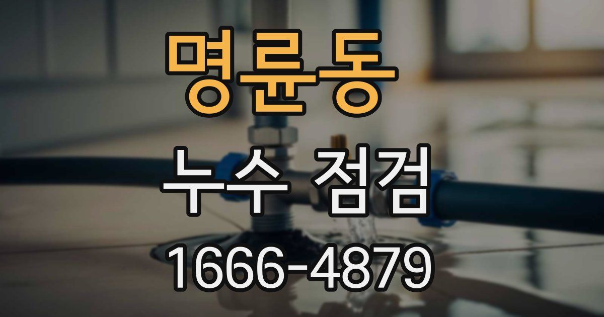 명륜동 누수 점검