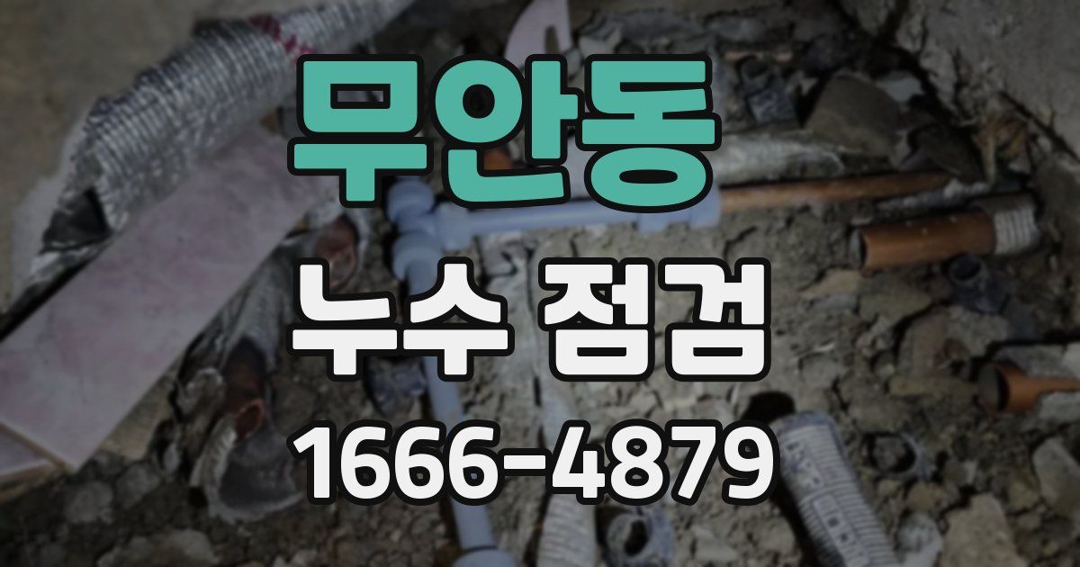 무안동 누수 점검