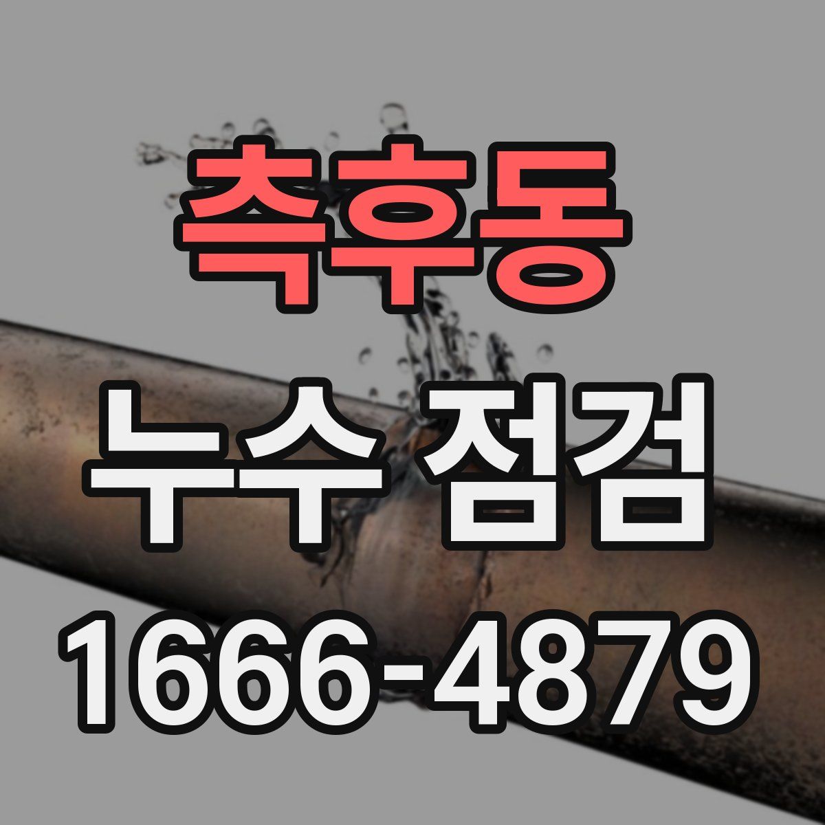 측후동 누수 점검