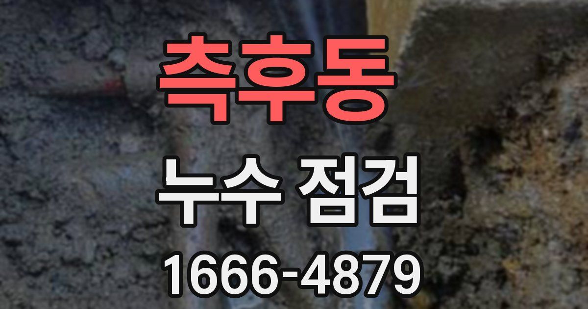 측후동 누수 점검