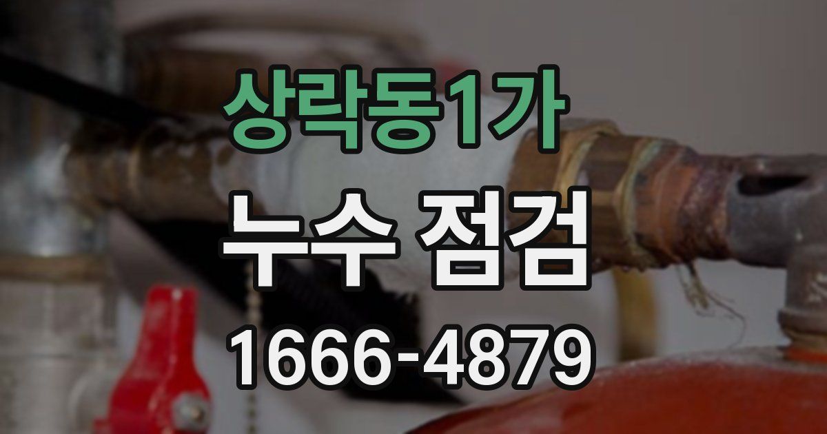 상락동1가 누수 점검
