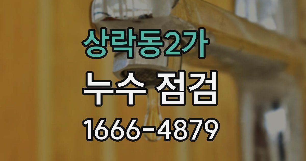상락동2가 누수 점검