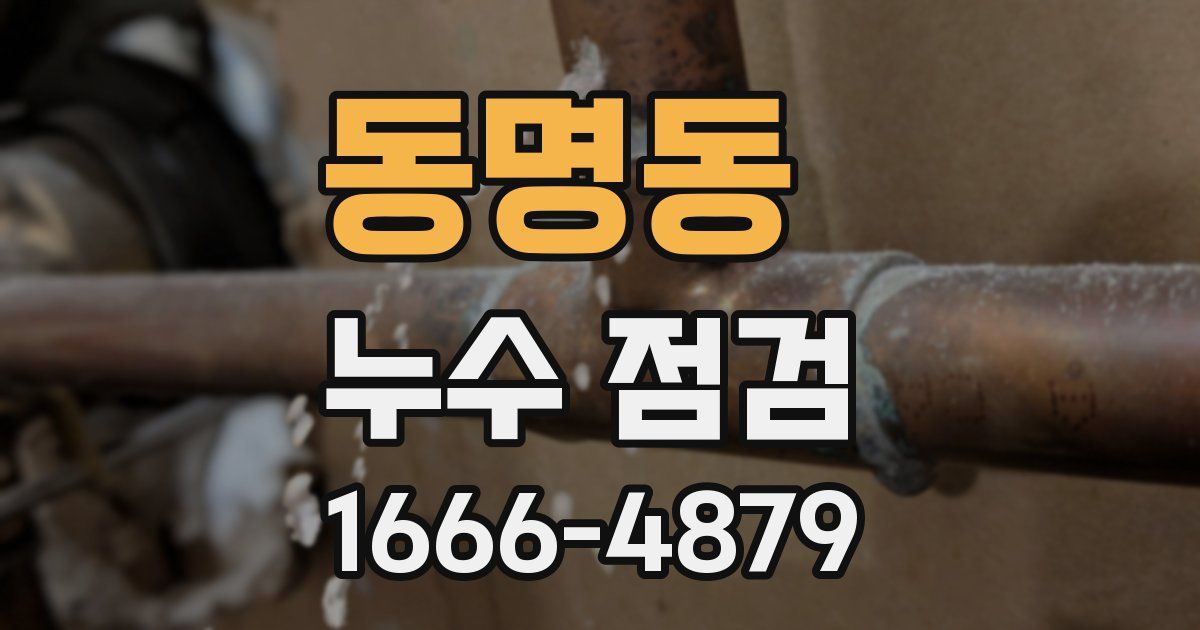 동명동 누수 점검