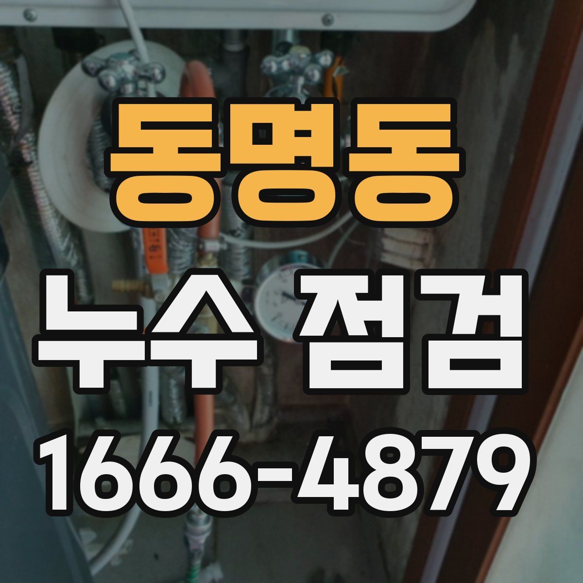 동명동 누수 점검