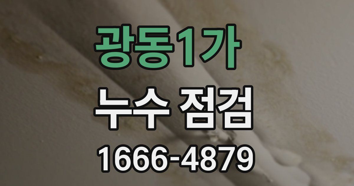 광동1가 누수 점검