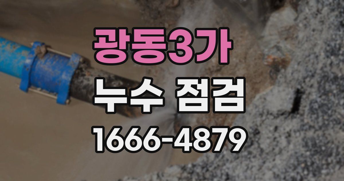 광동3가 누수 점검