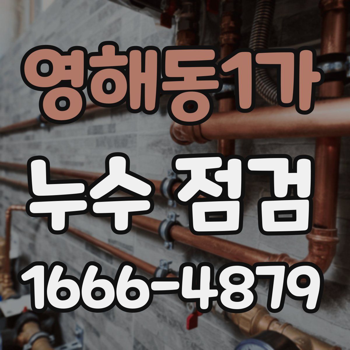 영해동1가 누수 점검