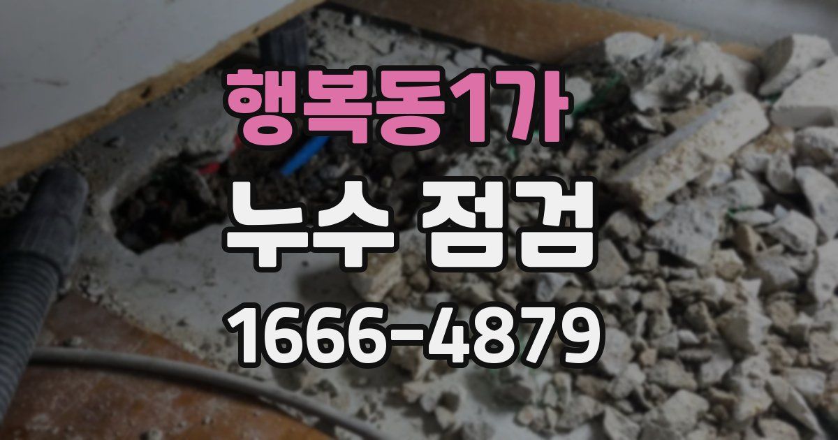 행복동1가 누수 점검