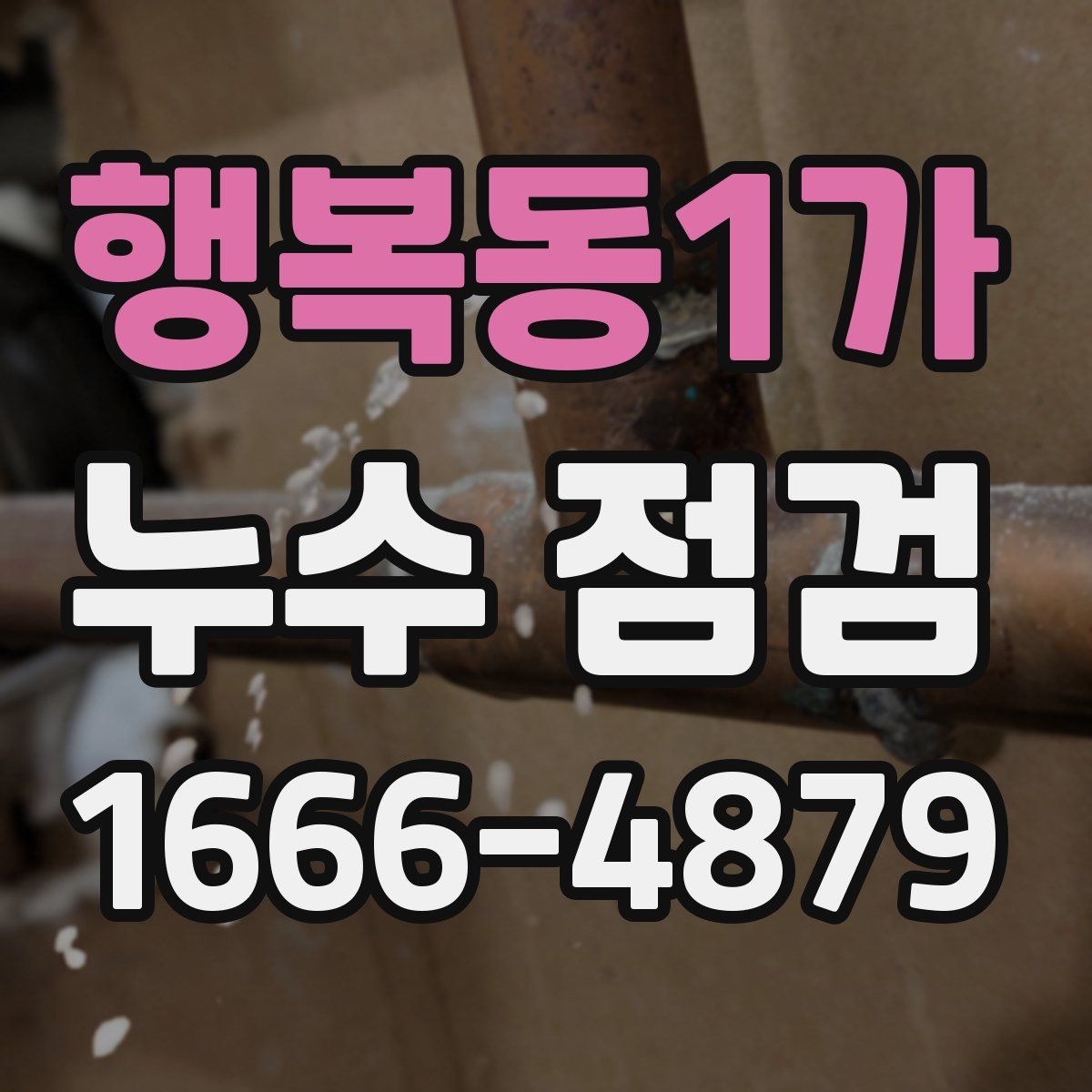 행복동1가 누수 점검