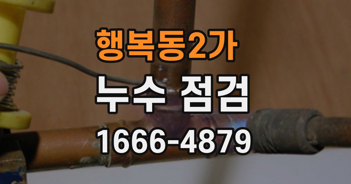 행복동2가 누수 점검