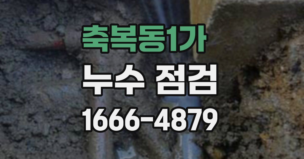 축복동1가 누수 점검