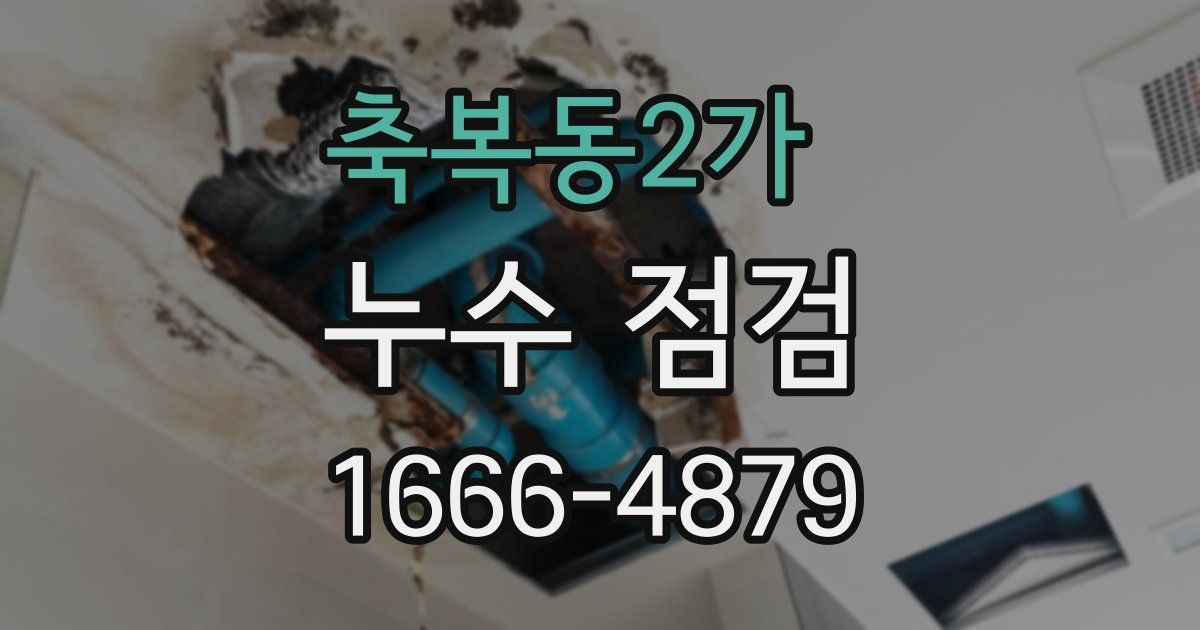축복동2가 누수 점검