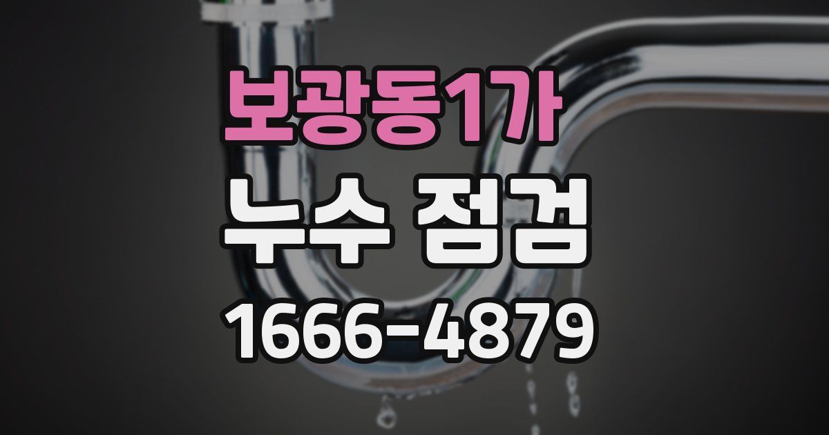 보광동1가 누수 점검