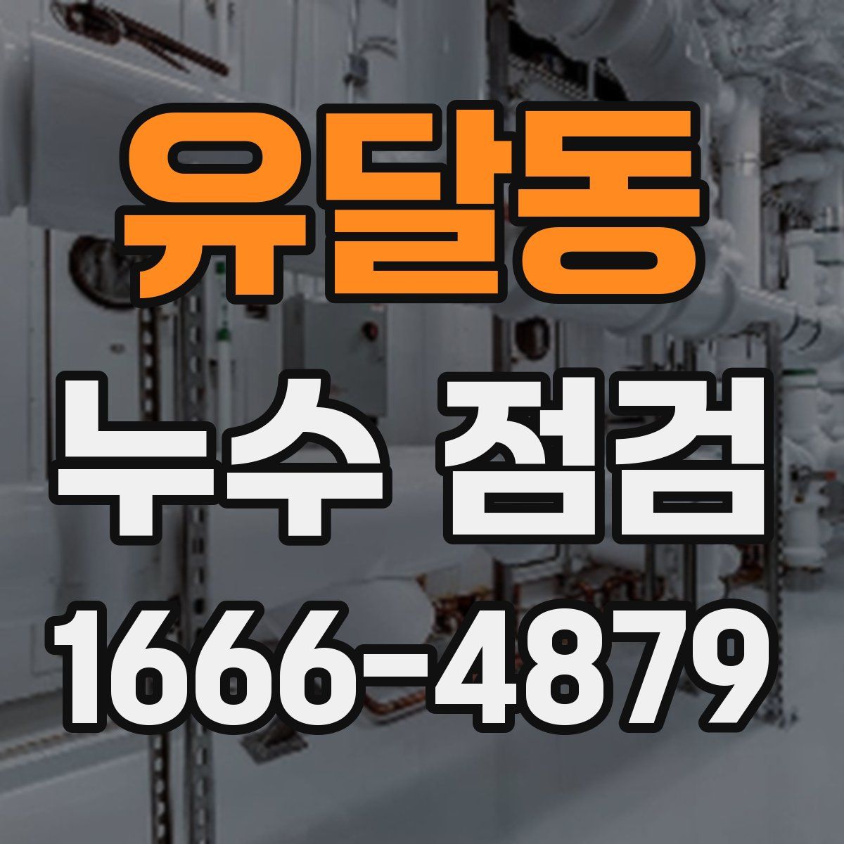 유달동 누수 점검
