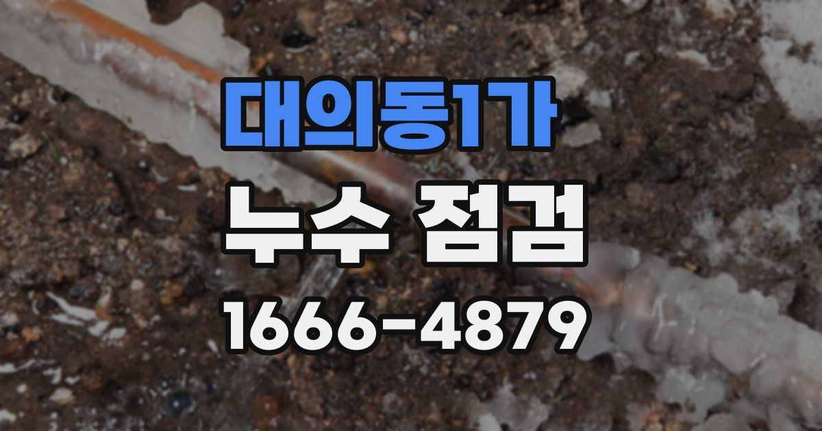 대의동1가 누수 점검
