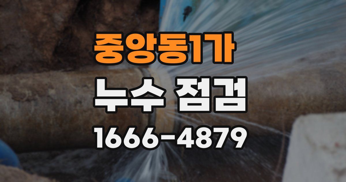 중앙동1가 누수 점검