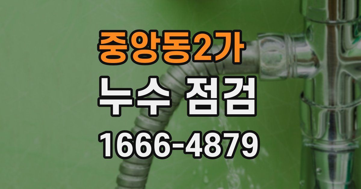 중앙동2가 누수 점검