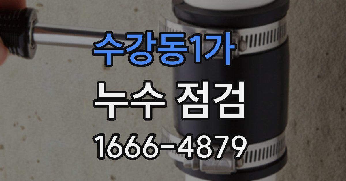 수강동1가 누수 점검
